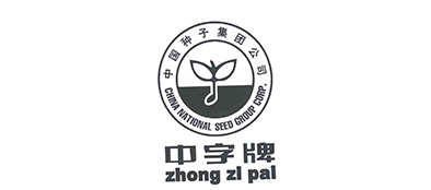 中字牌