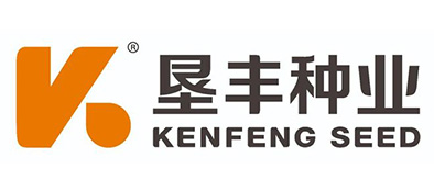 垦丰种业